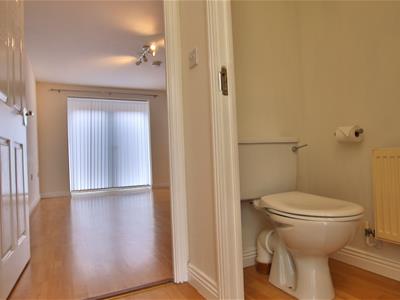 Picture 13